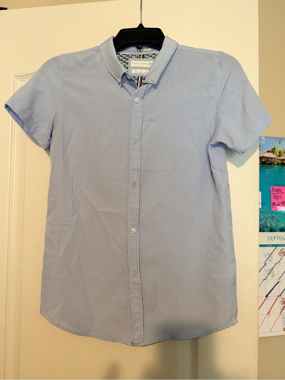 Cactus Boys Blue Short Sleeve Button-Down Shirt
